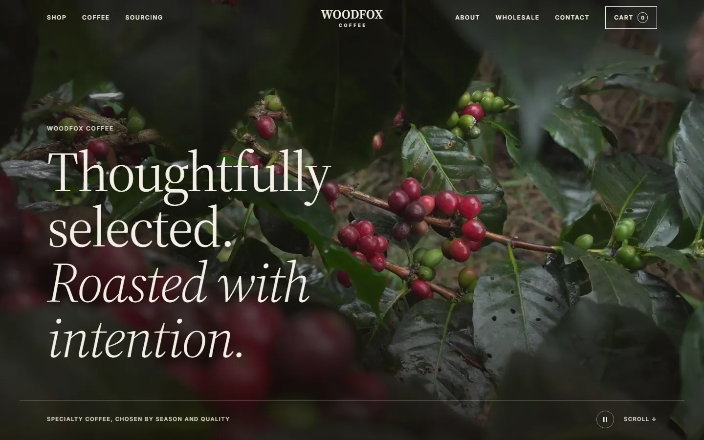 Woodfox Coffee homepage with a full-bleed photo of coffee cherries and the headline "Thoughtfully selected. Roasted with intention."